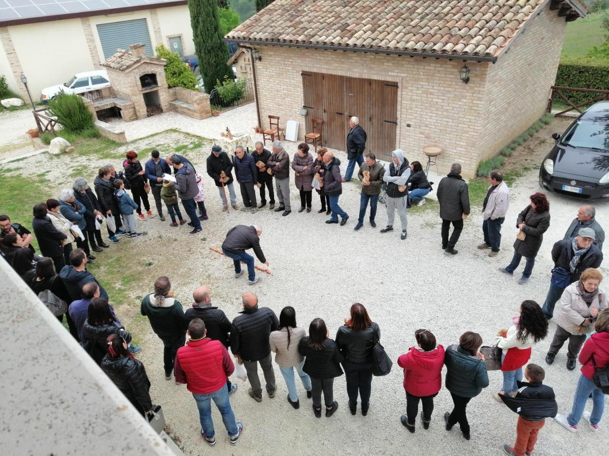 Agriturismo Alla Solagna Colli del Tronto Bagian luar foto